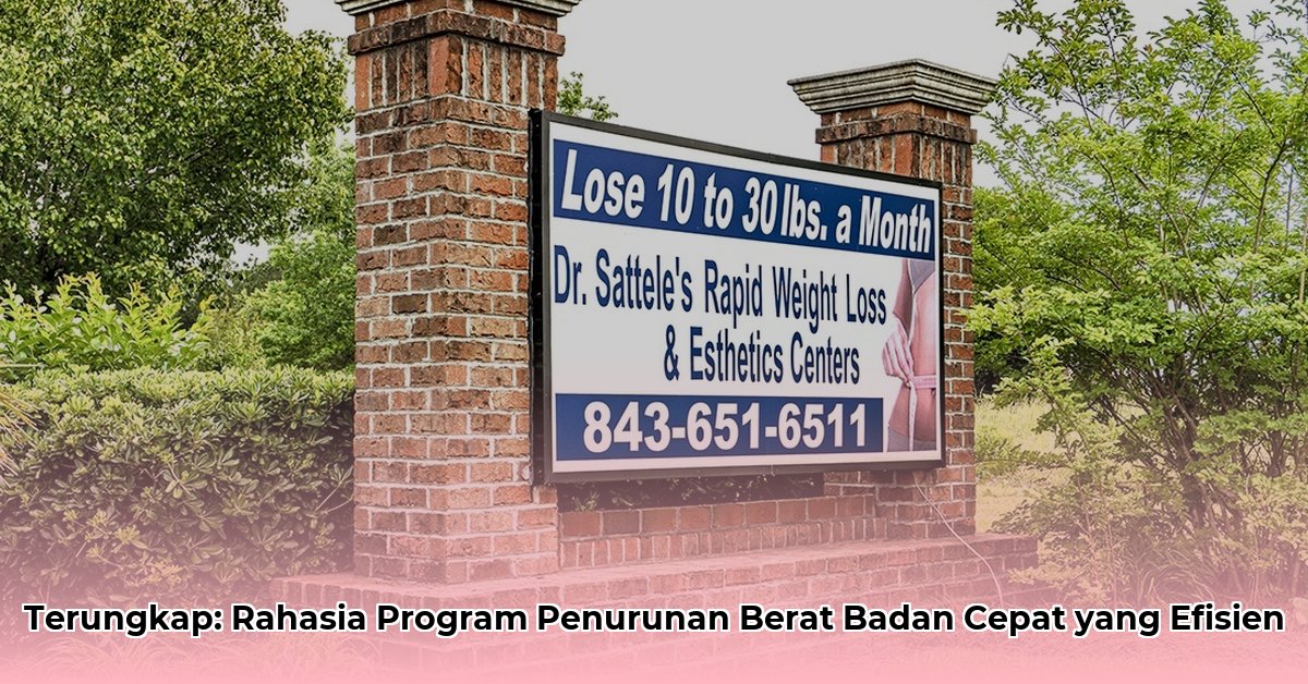 dr sattele weight loss program cost